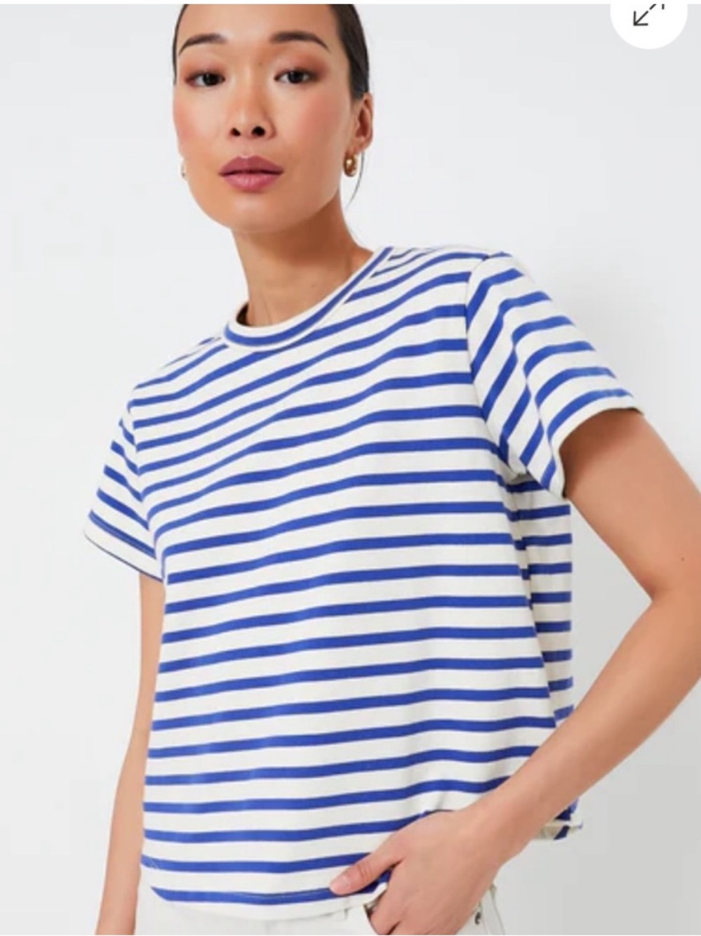 Tuckernuck Blue White Striped 100% Cotton Classic Crewneck T Shirt Top Size L